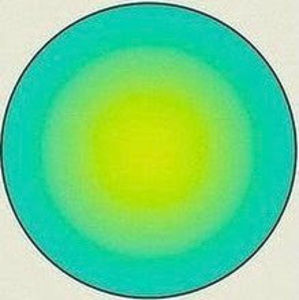 Meet your Posher, Charlotte